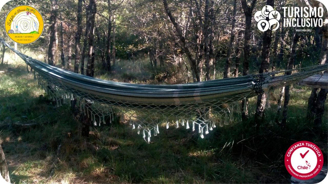 Centro Turistico Calafates Del Llaima Villa Conguillio Luaran gambar